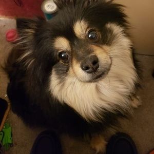 Meet your Posher, Charles